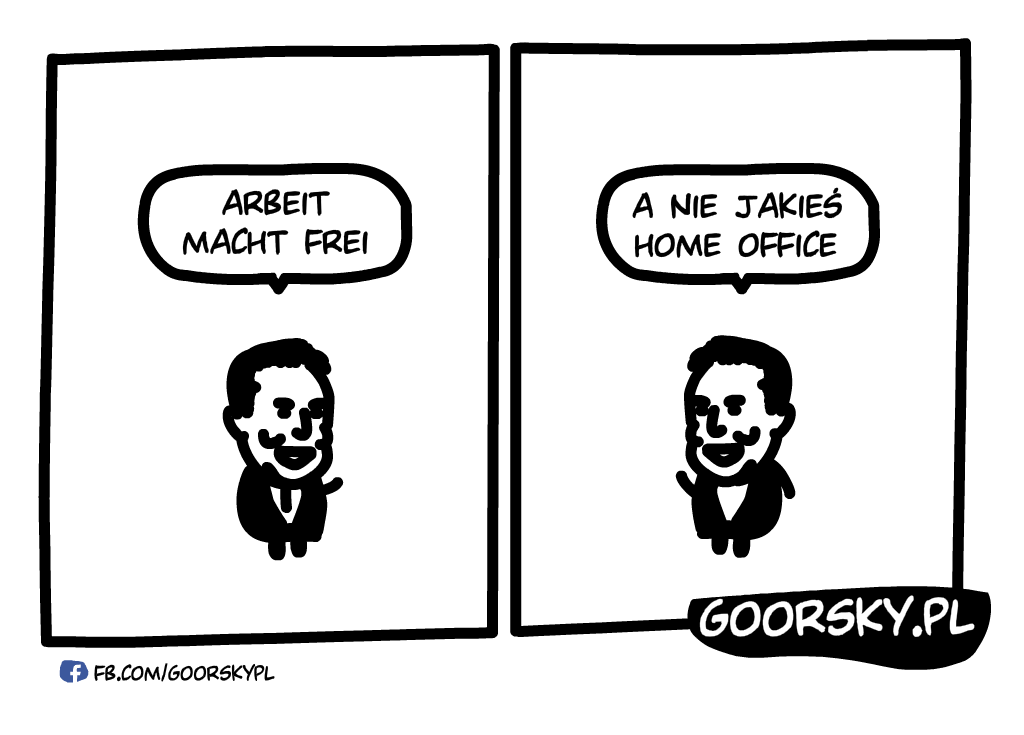 Praca zdanla u Elona Muska