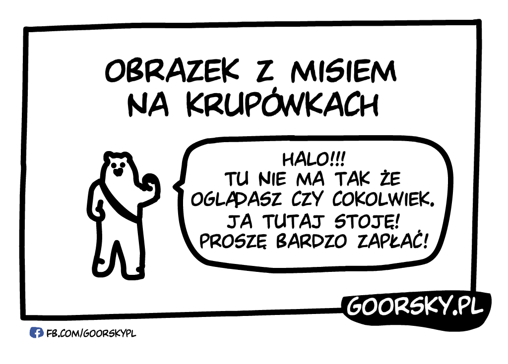 Chytry miś z Krupówek