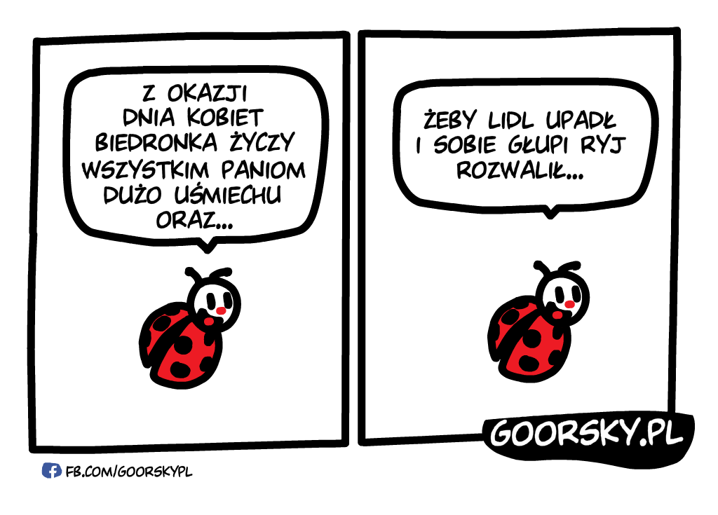 Biedronka Dzień Kobiet