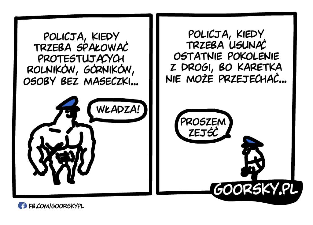 Władza