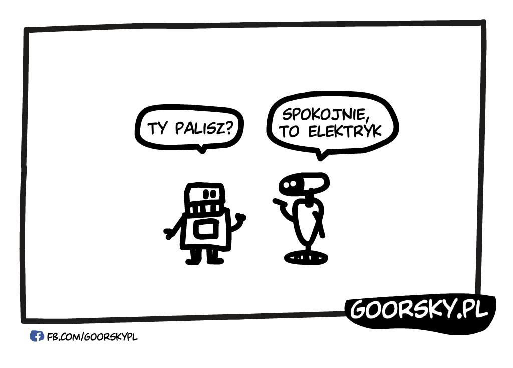 Elektryk