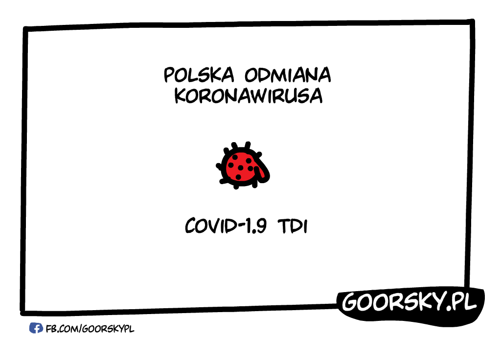  Polska odmiana