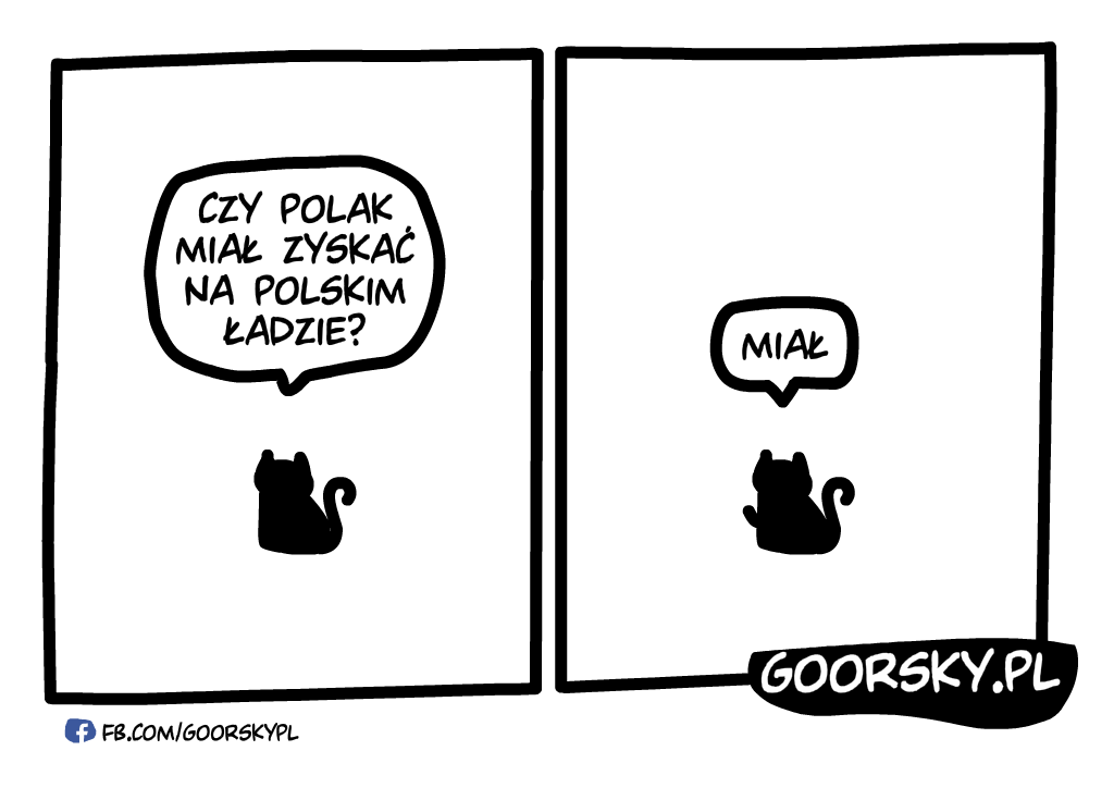  Miał