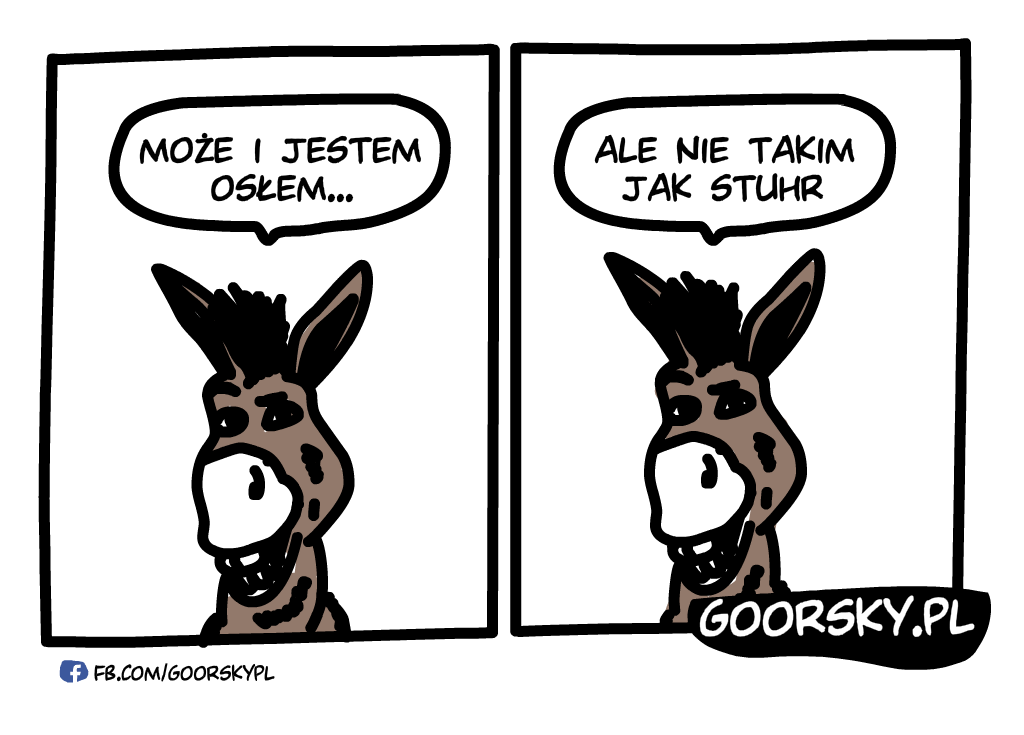  Stuhr jezdzi po pijaku