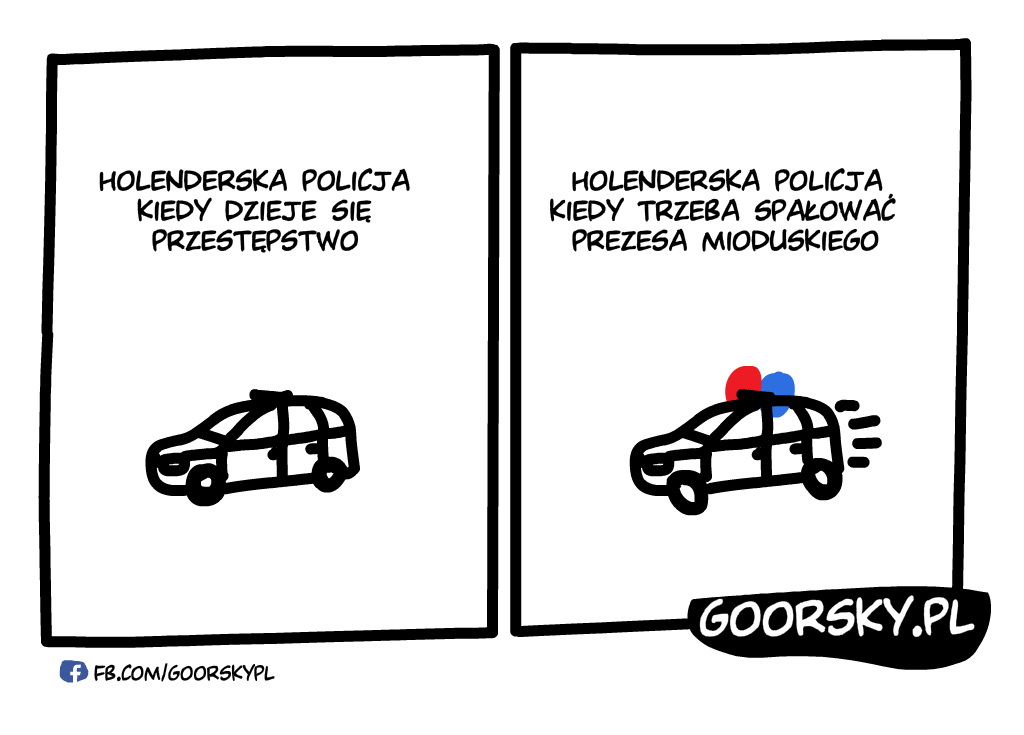  Holenderska policja